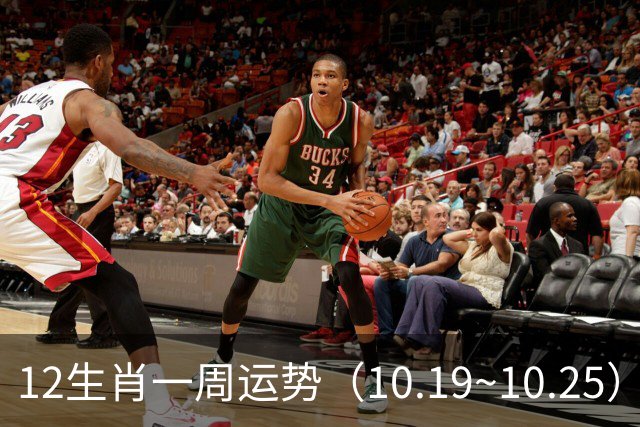 12生肖一周运势（10.19~10.25）